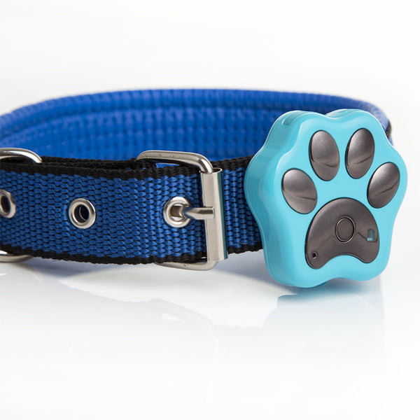 Paw link shop gps tracker